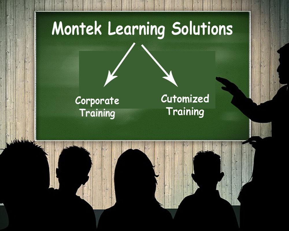 Montek Learning Solutions