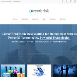 Career Brisk