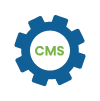 Custom CMS Development
